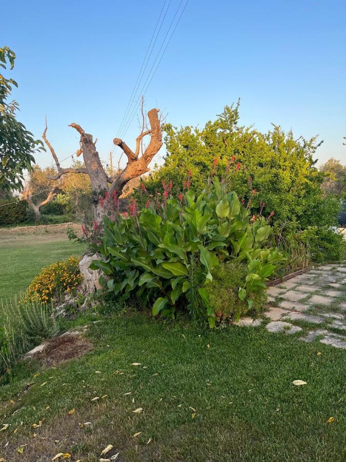 Villa Li Papi Galatone Exterior foto